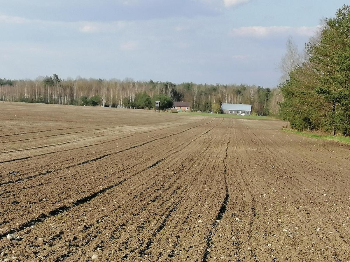 Agroturystyka Pod Dobrymi Skrzydlami Wiski Εξωτερικό φωτογραφία