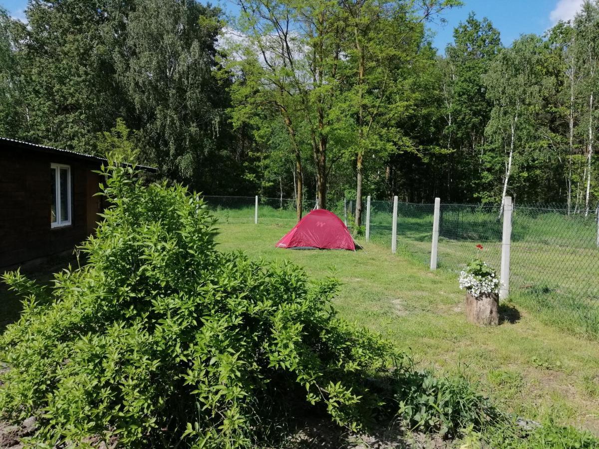 Agroturystyka Pod Dobrymi Skrzydlami Wiski Εξωτερικό φωτογραφία